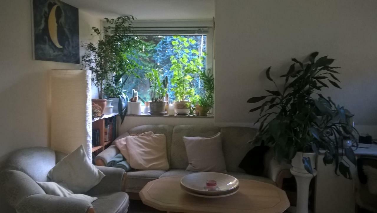 Gemuetl. Ferienwohnung Und Privatzimmer ハンブルク エクステリア 写真