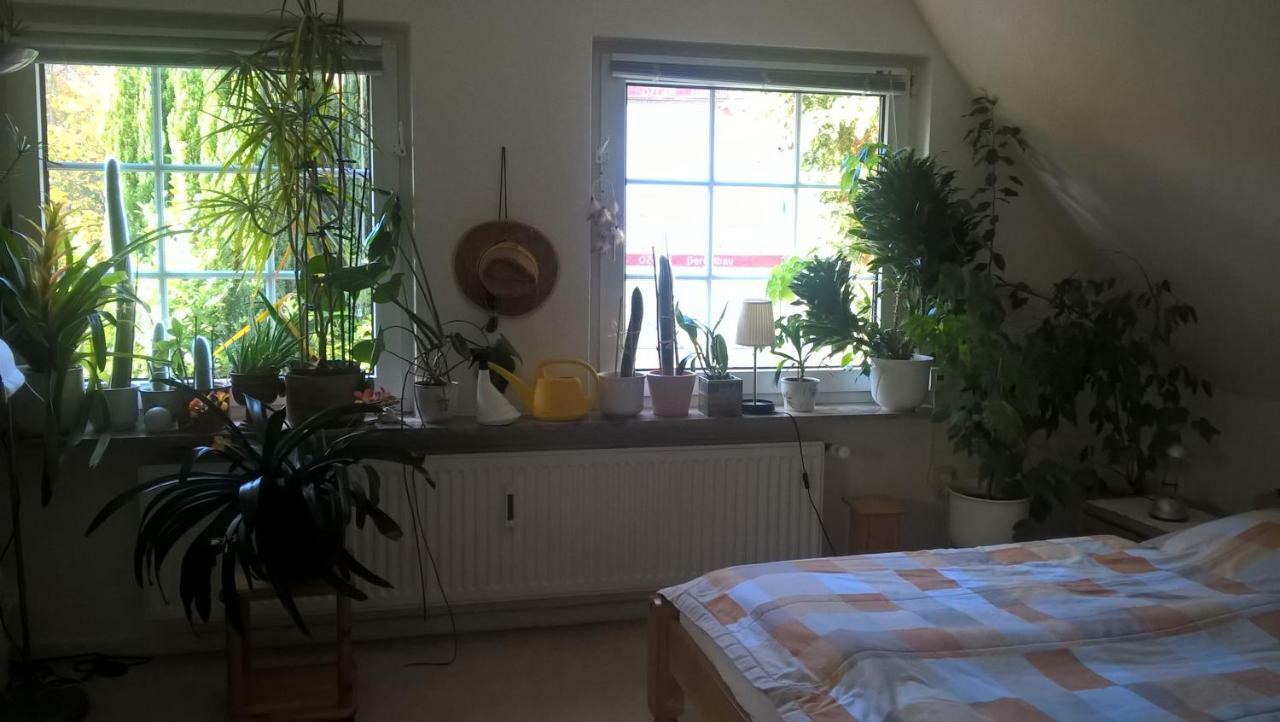 Gemuetl. Ferienwohnung Und Privatzimmer ハンブルク エクステリア 写真